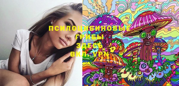 PSILOCYBIN Абаза