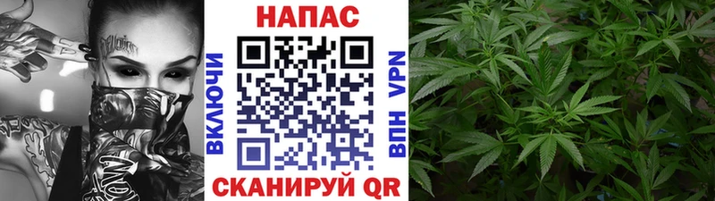 Конопля марихуана  Ак-Довурак 